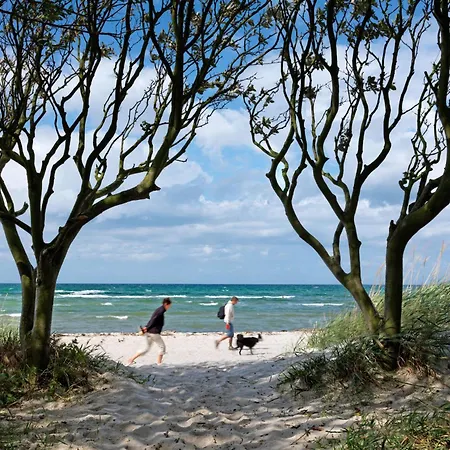 Daenische Ferienhaeuser Am Salzhaff Haus Kaept'n Nemo * Insel Poel